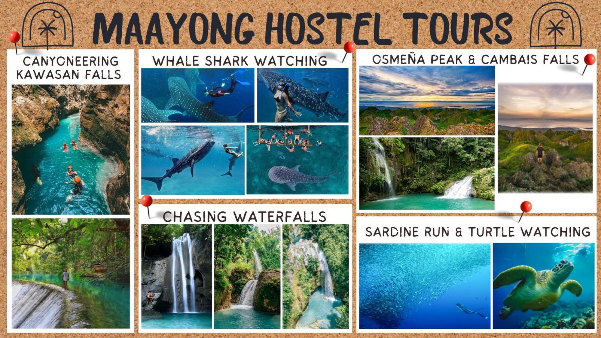 Maayong Hostel (Adults Only) Moalboal Extérieur photo